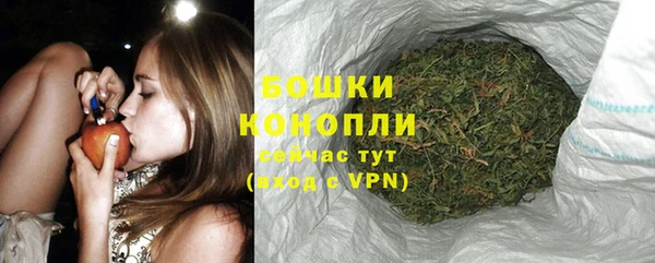 бошки Алзамай