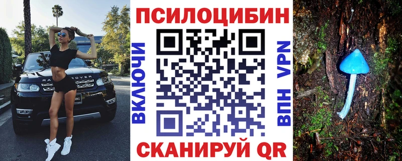 наркота  Весьегонск  Псилоцибиновые грибы Cubensis 